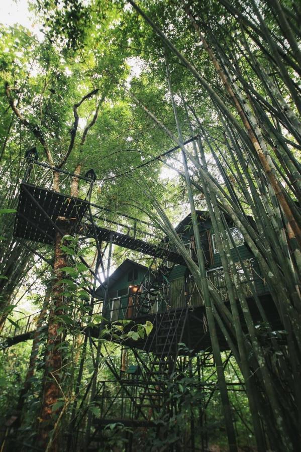 Khao Sok Tree House Resort Khao Sok National Park Exterior foto
