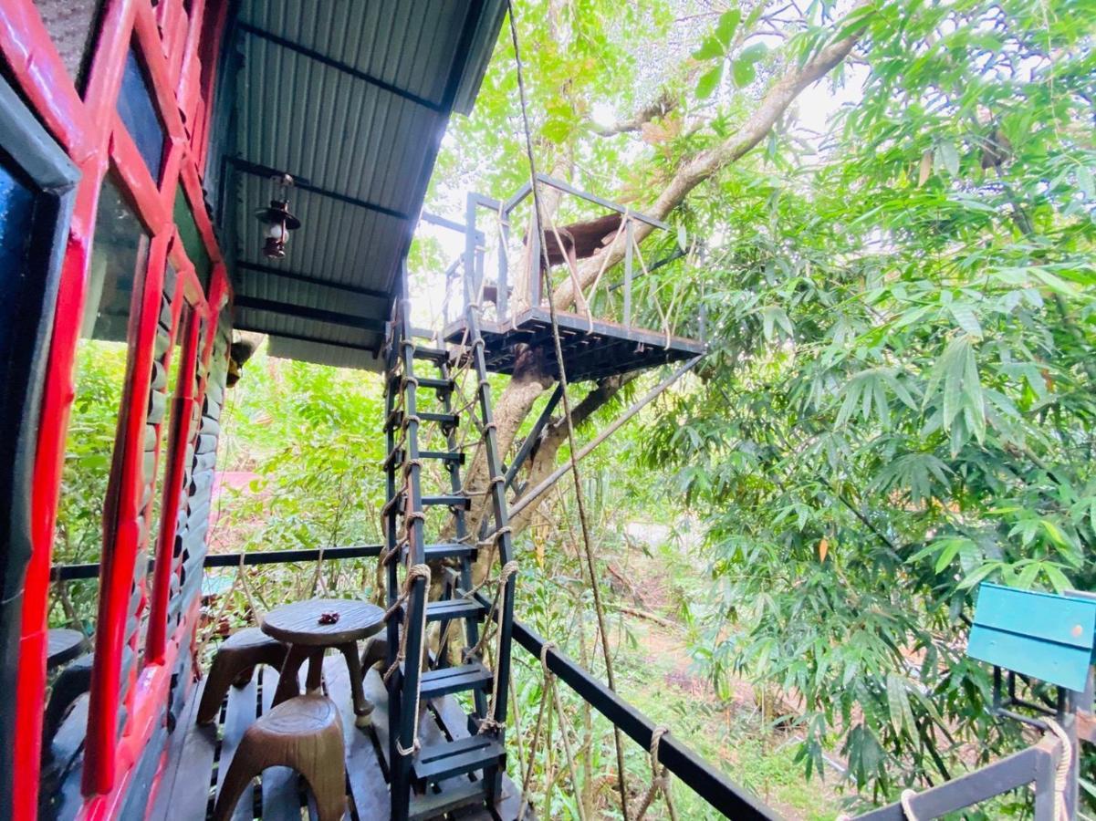 Khao Sok Tree House Resort Khao Sok National Park Exterior foto