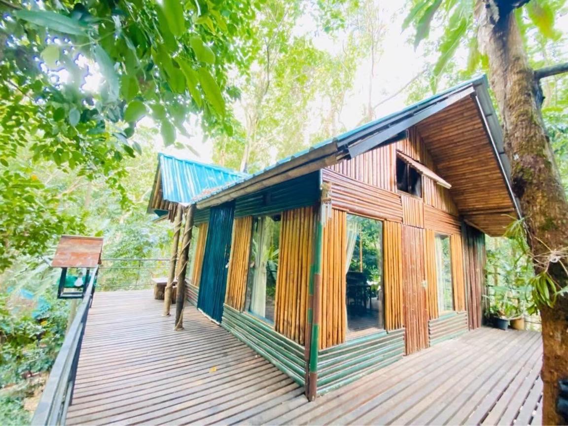 Khao Sok Tree House Resort Khao Sok National Park Exterior foto