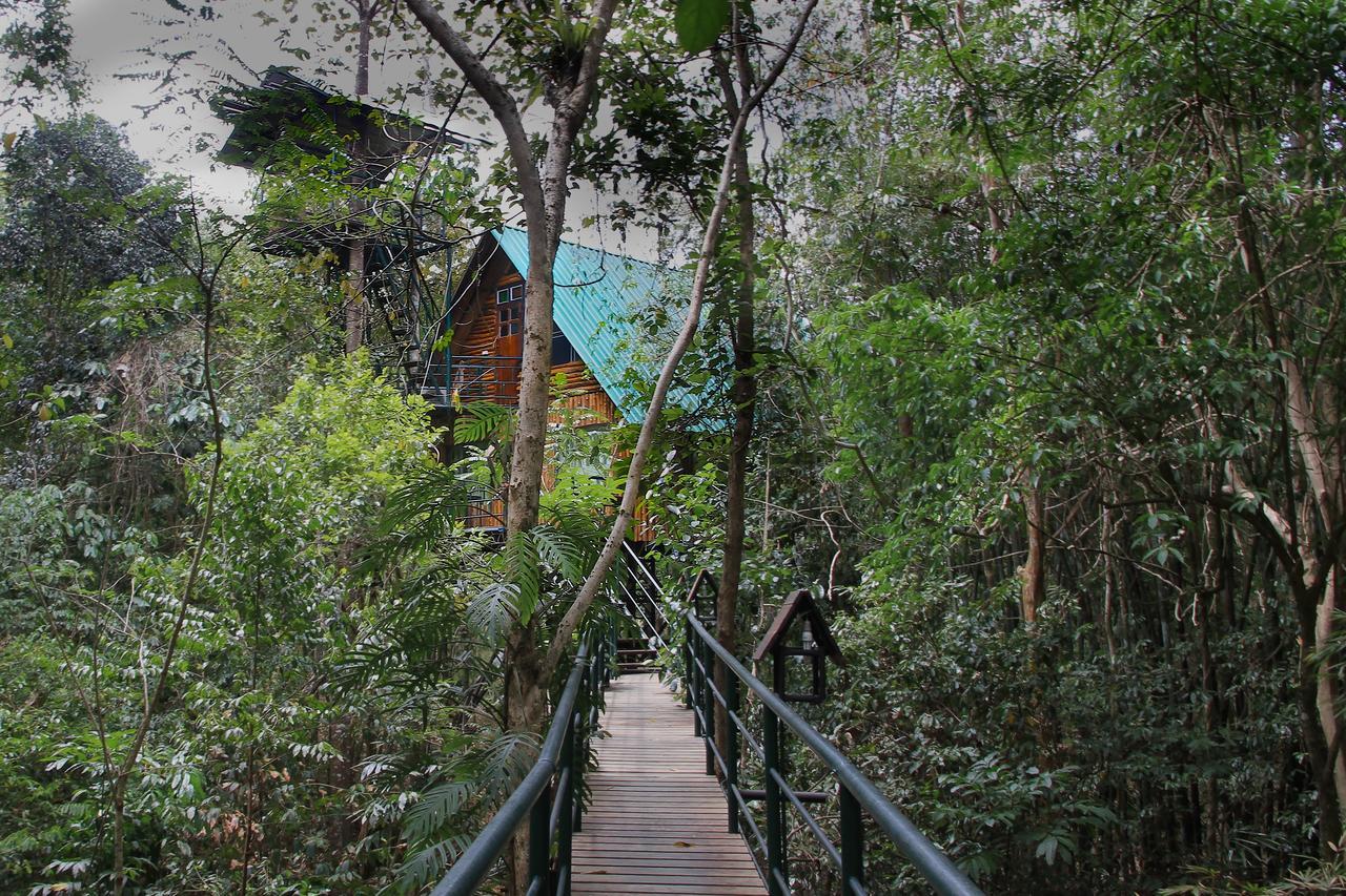 Khao Sok Tree House Resort Khao Sok National Park Exterior foto