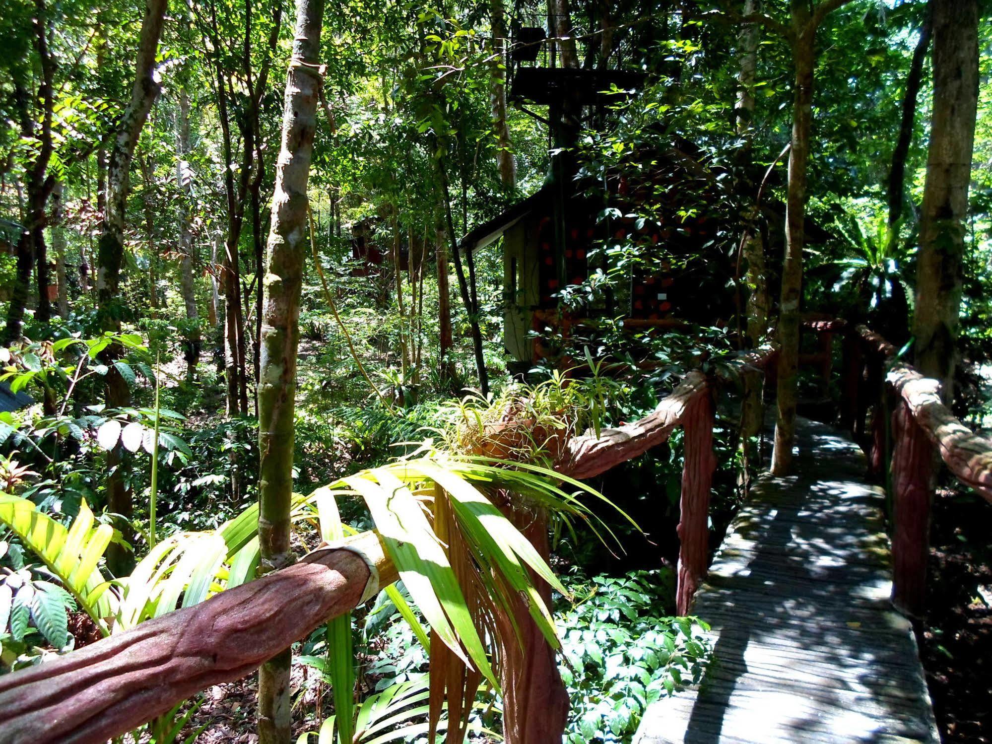 Khao Sok Tree House Resort Khao Sok National Park Exterior foto
