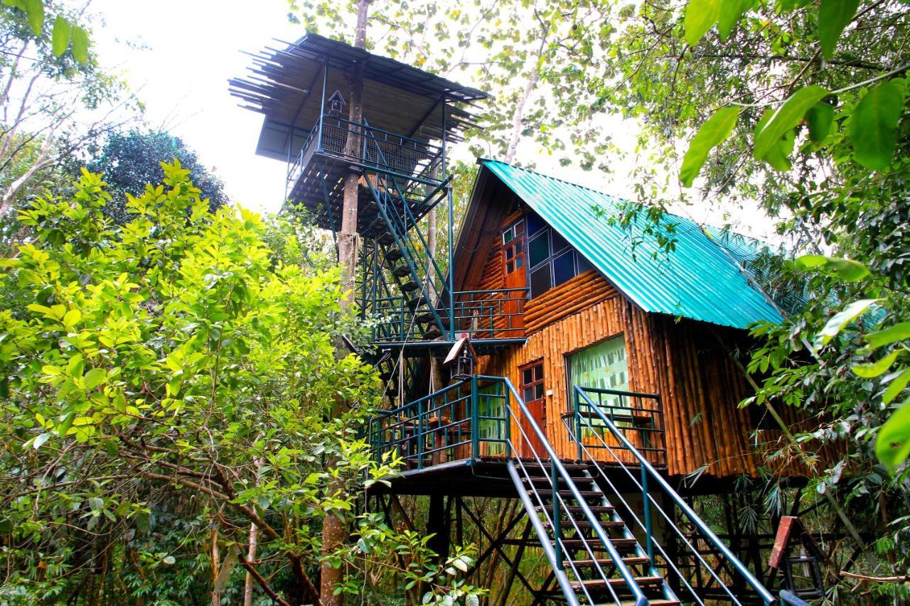 Khao Sok Tree House Resort Khao Sok National Park Exterior foto