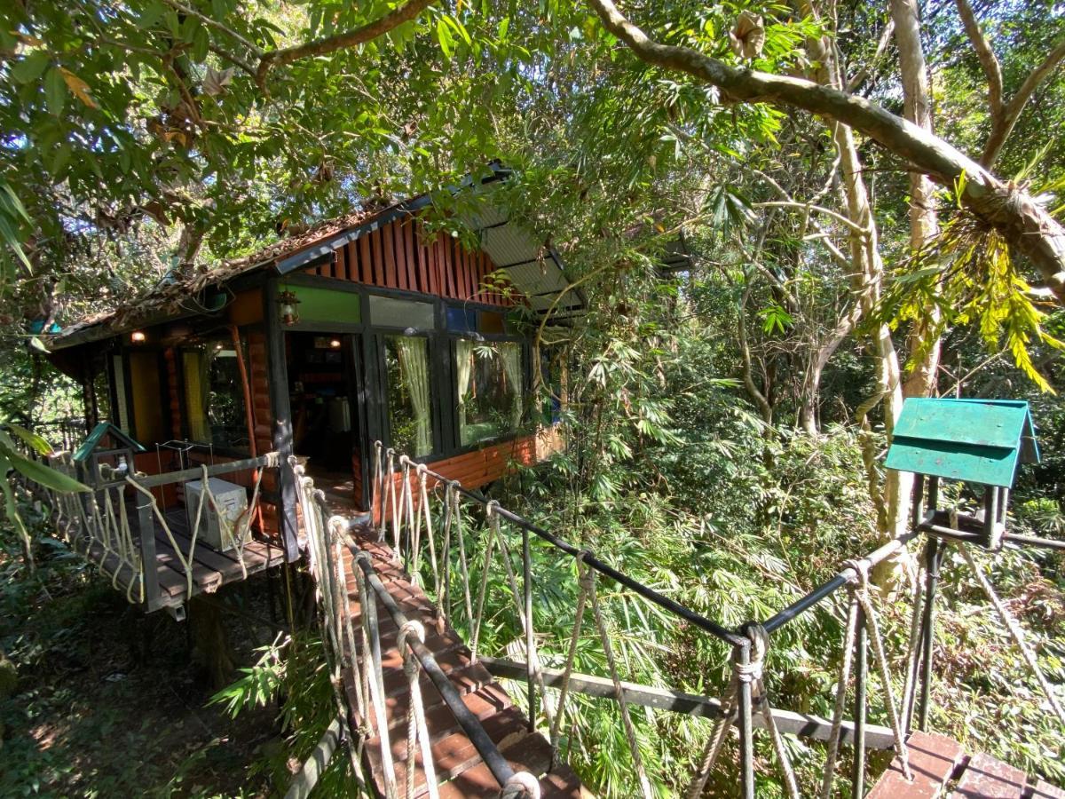 Khao Sok Tree House Resort Khao Sok National Park Exterior foto